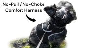 Rechargeable Mini GPS Realtime Pet Tracking Collars for Hunting Dogs Size:XS